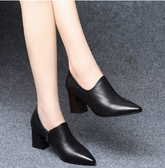 Pointed Toe High Heel Pumps